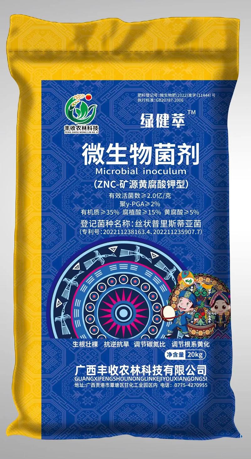 发酵菌种：微生物世界的秘密武器