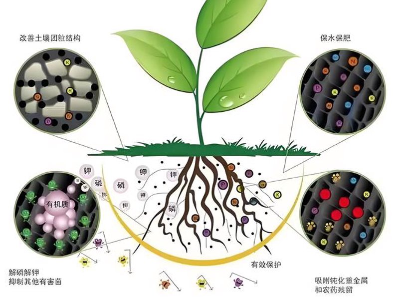 生物有机肥：绿色农业的未来趋势