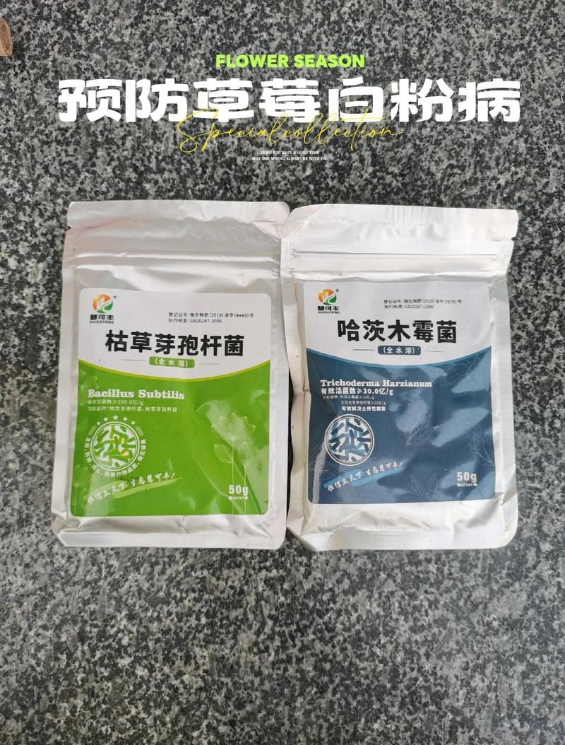 发酵菌种在食品工业的应用与发展趋势