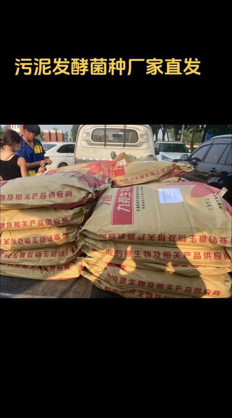 绿色革命：微生物在土壤修复中的应用