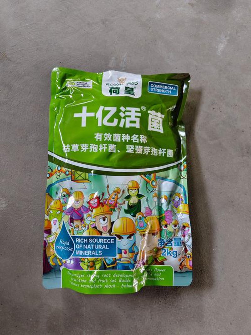 探秘微生物世界：枯草芽孢杆菌的奇趣之旅