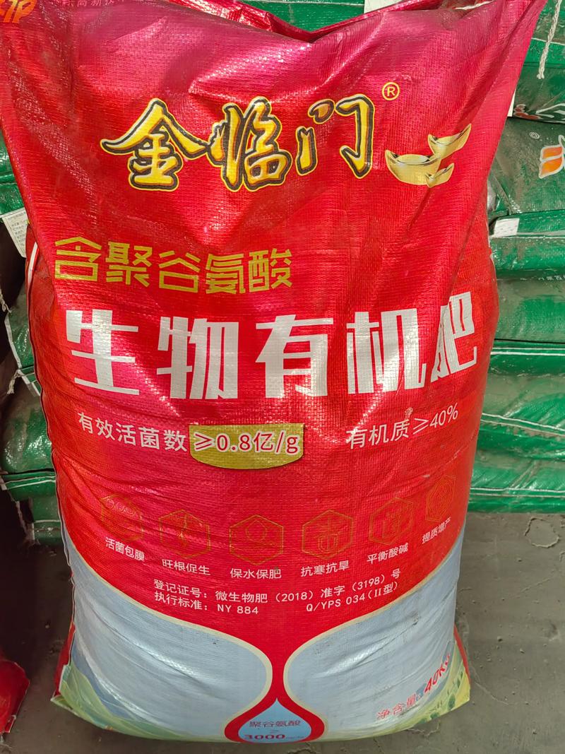 绿色守护者：枯草芽孢杆菌在环境保护中的价值与挑战